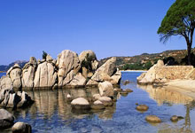 2024 U17亚洲杯预选赛直播在哪看？赛程、参赛队和看点全解析